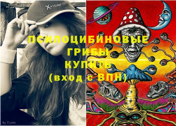 стафф Аркадак