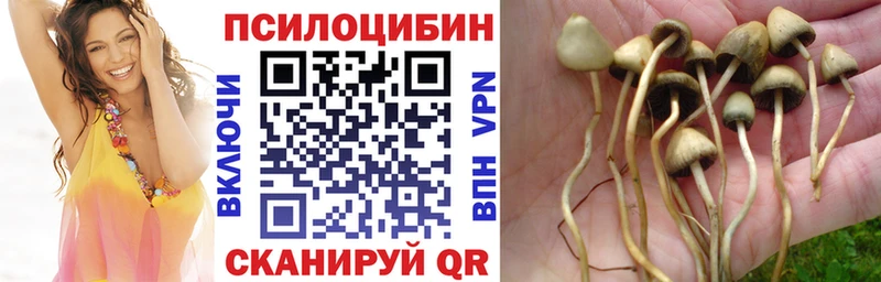 Галлюциногенные грибы Cubensis  Голицыно 